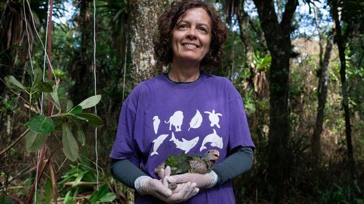 Elenise Sipinksi, coordenadora de fauna da SPVS Elenise Sipinksi, coordenadora de fauna da SPVS