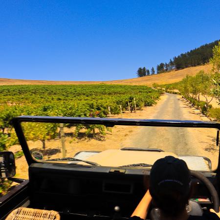 Sáfari de vinhos na vinicola da família Jordan Sáfari de vinhos na vinicola da família Jordan