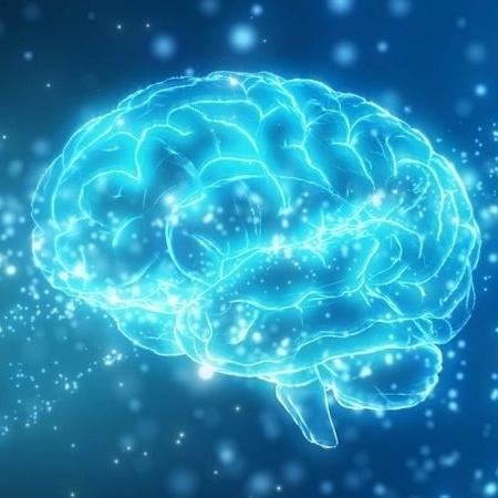 Pesquisa mostrou que quem tem herpes tipo 2 também tem um córtex cerebral mais fino Pesquisa mostrou que quem tem herpes tipo 2 também tem um córtex cerebral mais fino